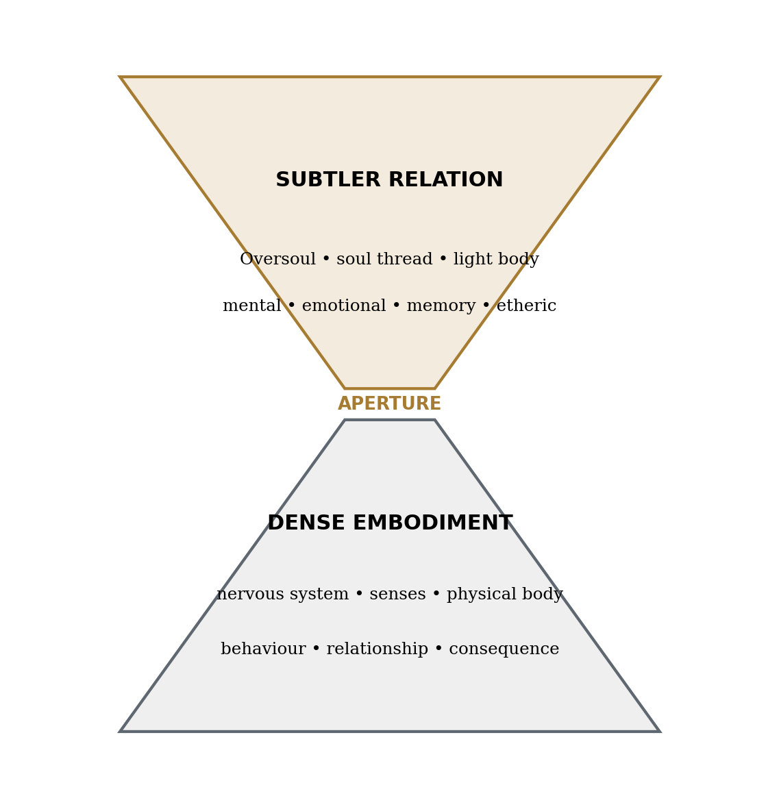 Figure 2. The human node spans subtler relation, translation aperture and dense embodiment.